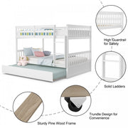 3 in 1 Bunk Bed with Ladder