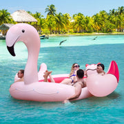 Flamingo Floatie