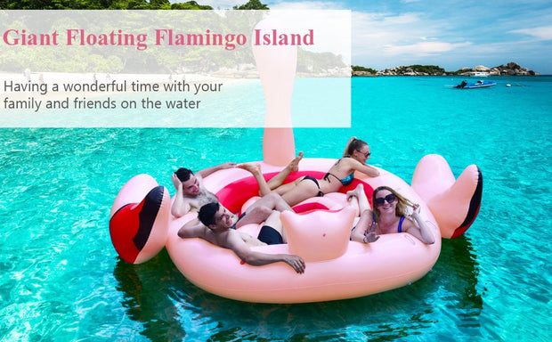 Flamingo Floatie