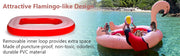 Flamingo Floatie