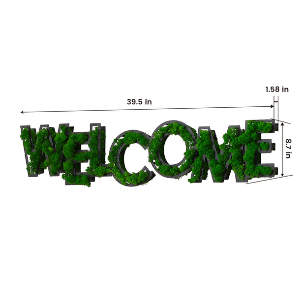 'Welcome' Moss Letter Wall Art