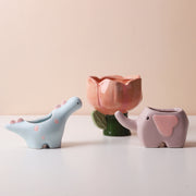 Succulent Ceramic Flower Pots