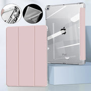 iPad Mini Case